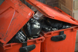 Waste Collection in Norwich
